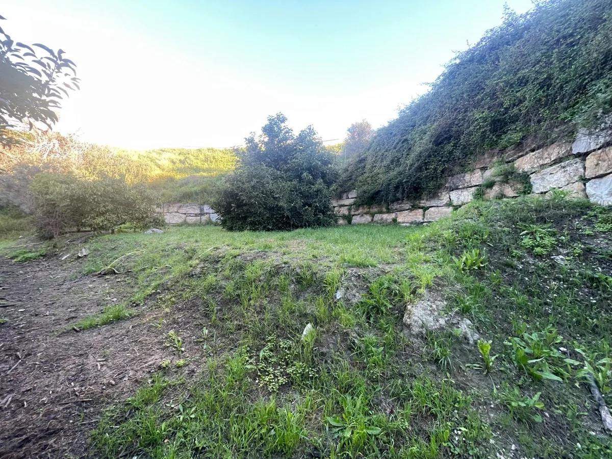 bed8db2b-2442-4e2d-926d-8740b66de412