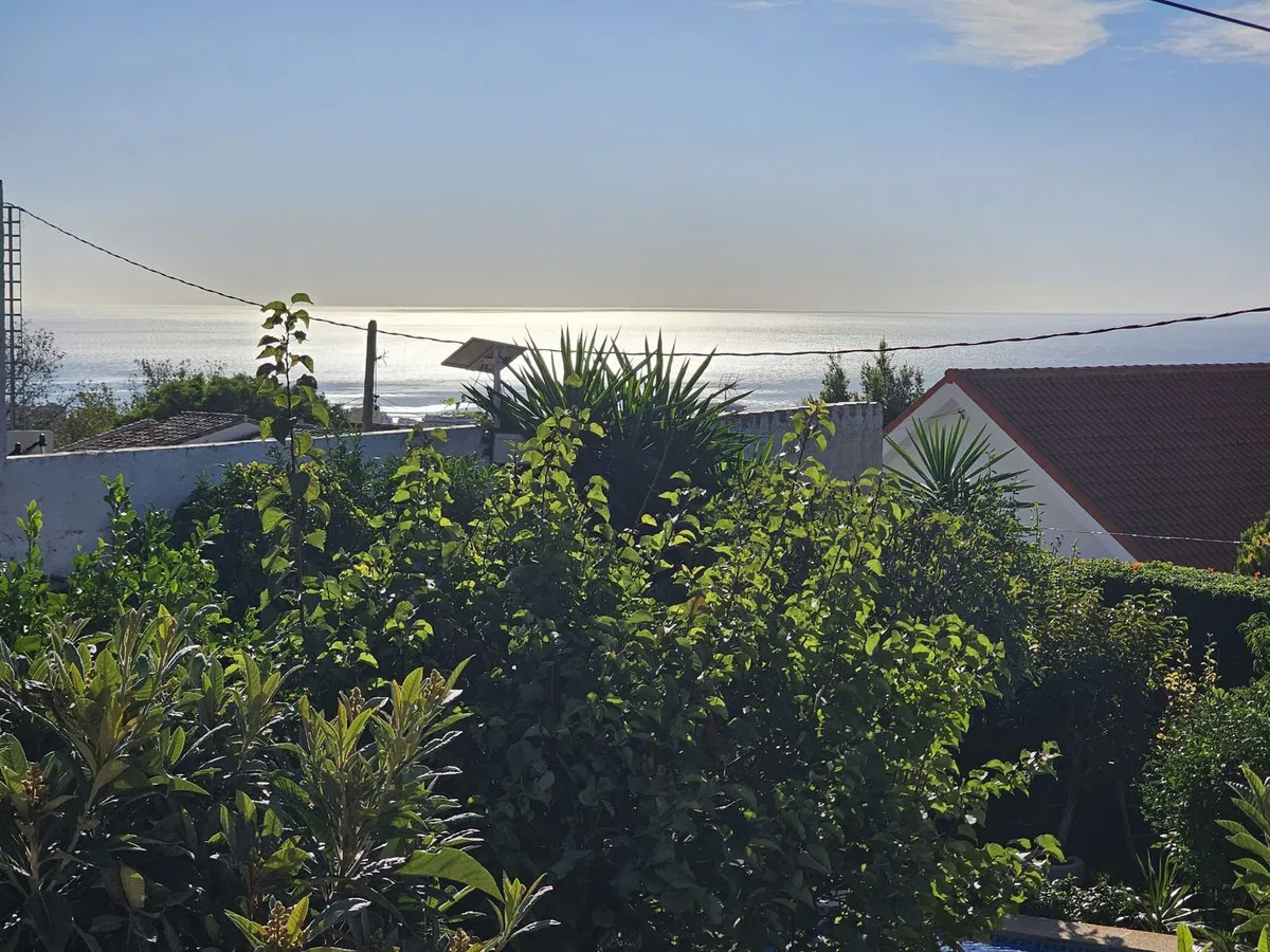 742c8375-390e-4aaa-867a-d9c11080f347