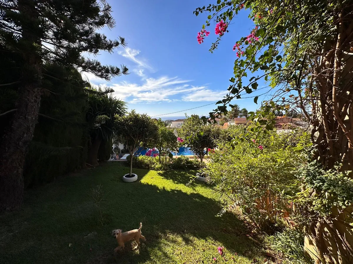 ce864f52-a9de-4c92-b1c2-a401c972139c