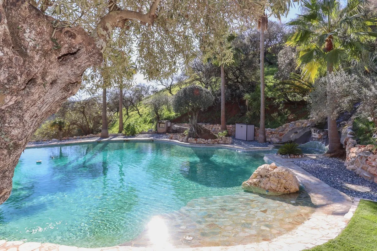 fa569f44-e461-4995-ac4a-35fc515ee99d