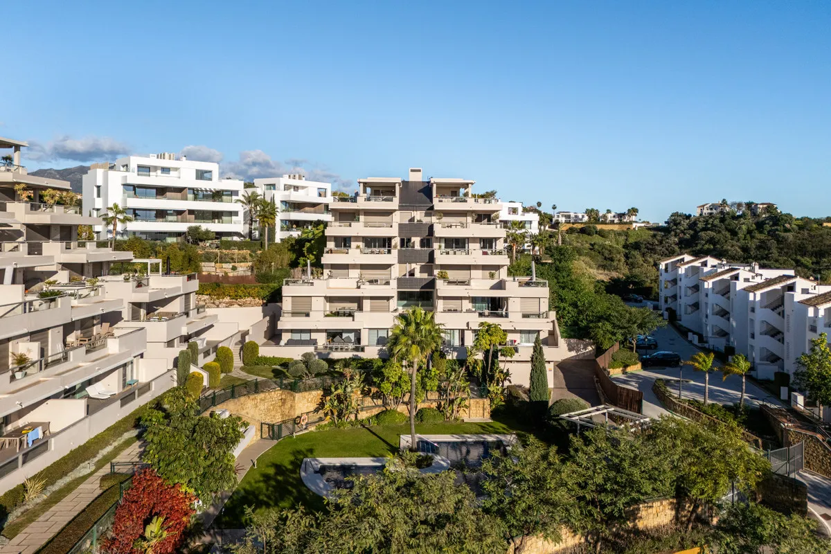 8175f431-a110-4fb4-828f-d933ffa86cf5