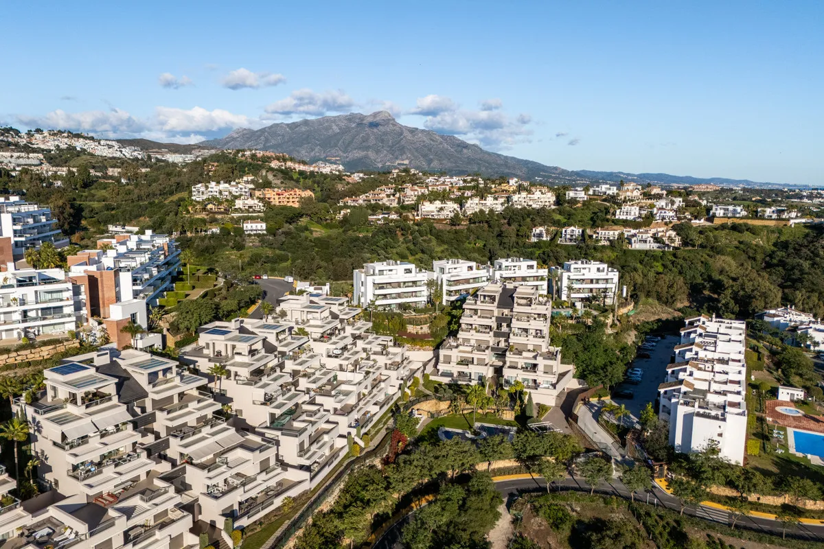 b9aeadfa-01ad-449b-932f-5741f9d5f4bd