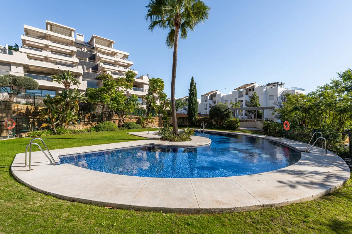 d5583027-805d-4745-82b4-01c57aa18cdd