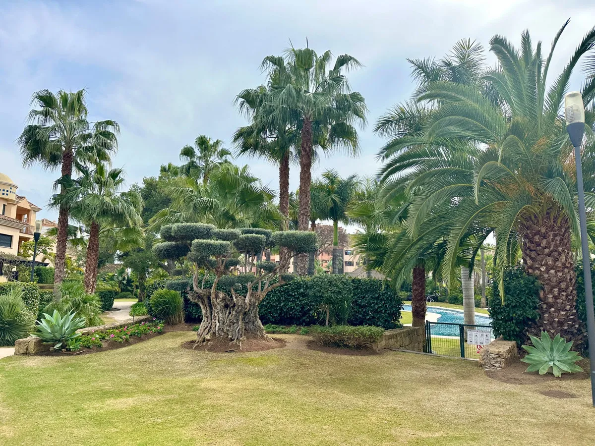 b631259d-5a3c-4dd3-93b7-32ed152f19c7