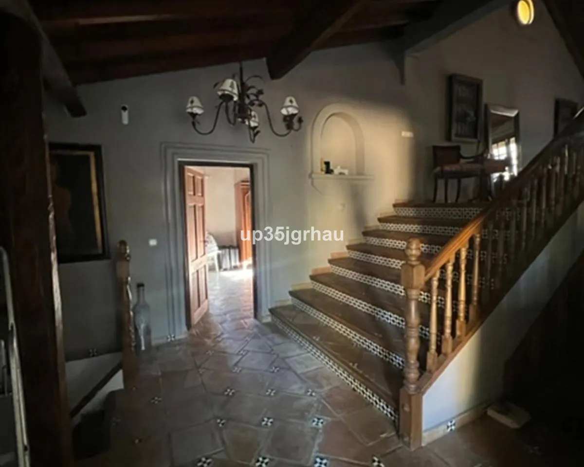 536cd396-dd0f-4a63-afc8-a06df23da3e4