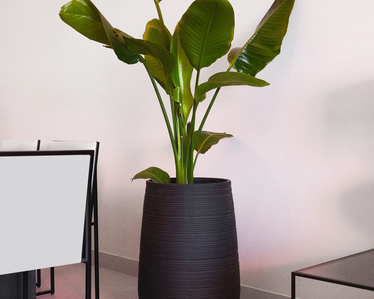 ff08161b-e6c5-4e26-9ab9-c862dac4ad84