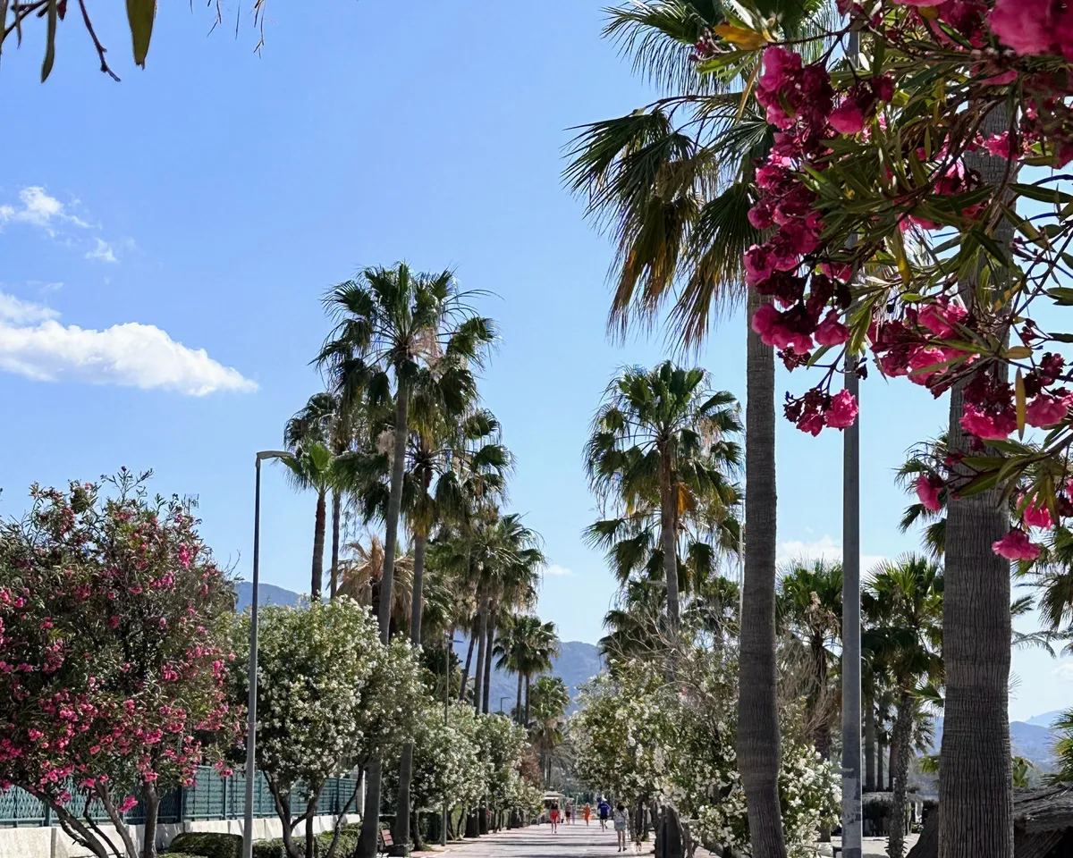 39996a67-9dc3-4003-b8cf-95492229e2b4