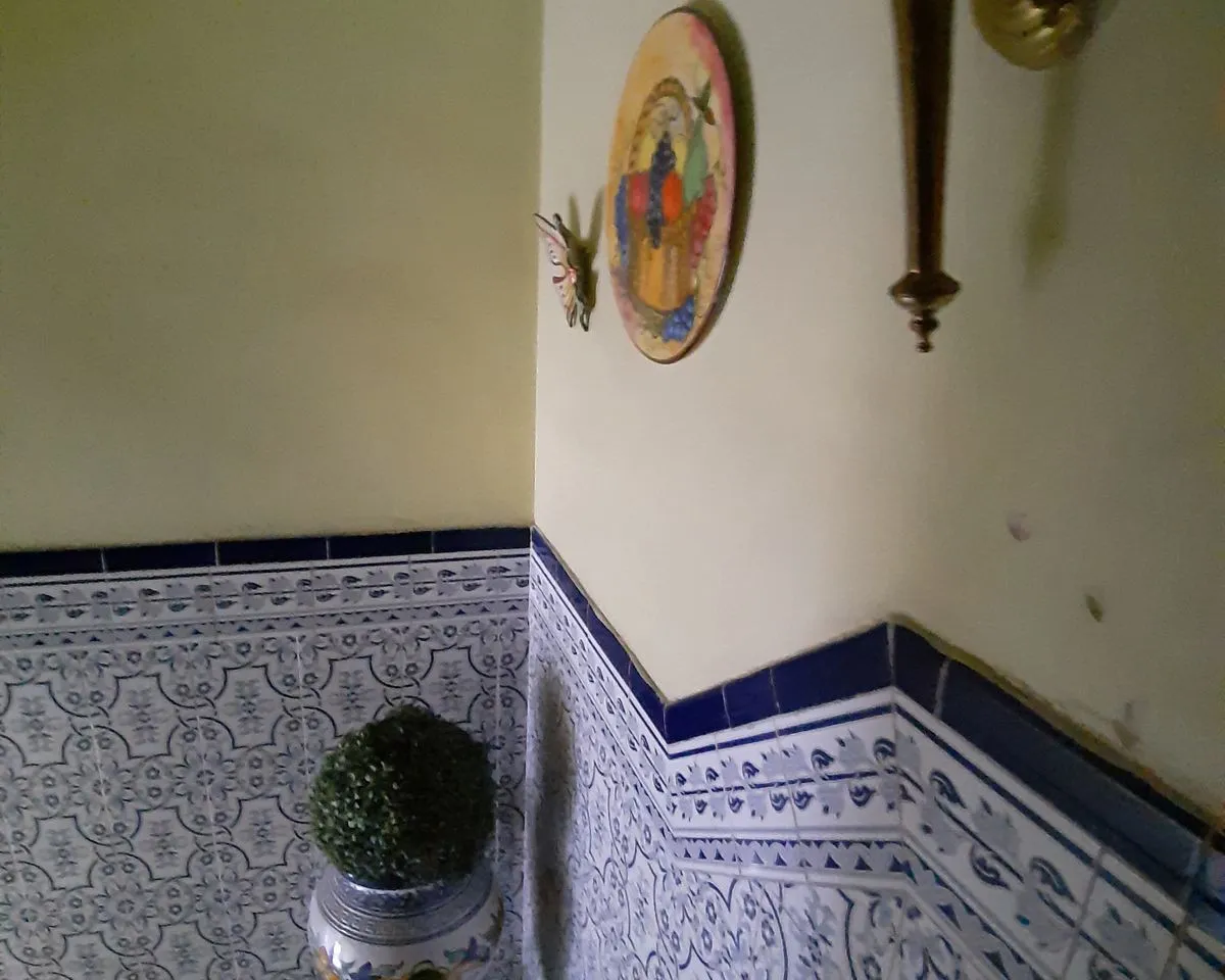 4d86302f-6d77-4b38-9cee-314124fbe5d7