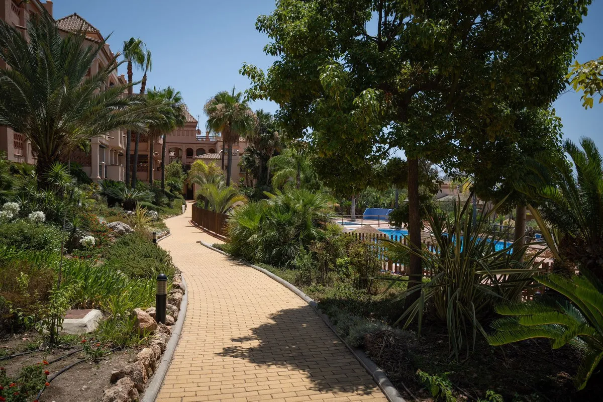 8fe558d8-742b-487b-a37e-837413cbf4ce