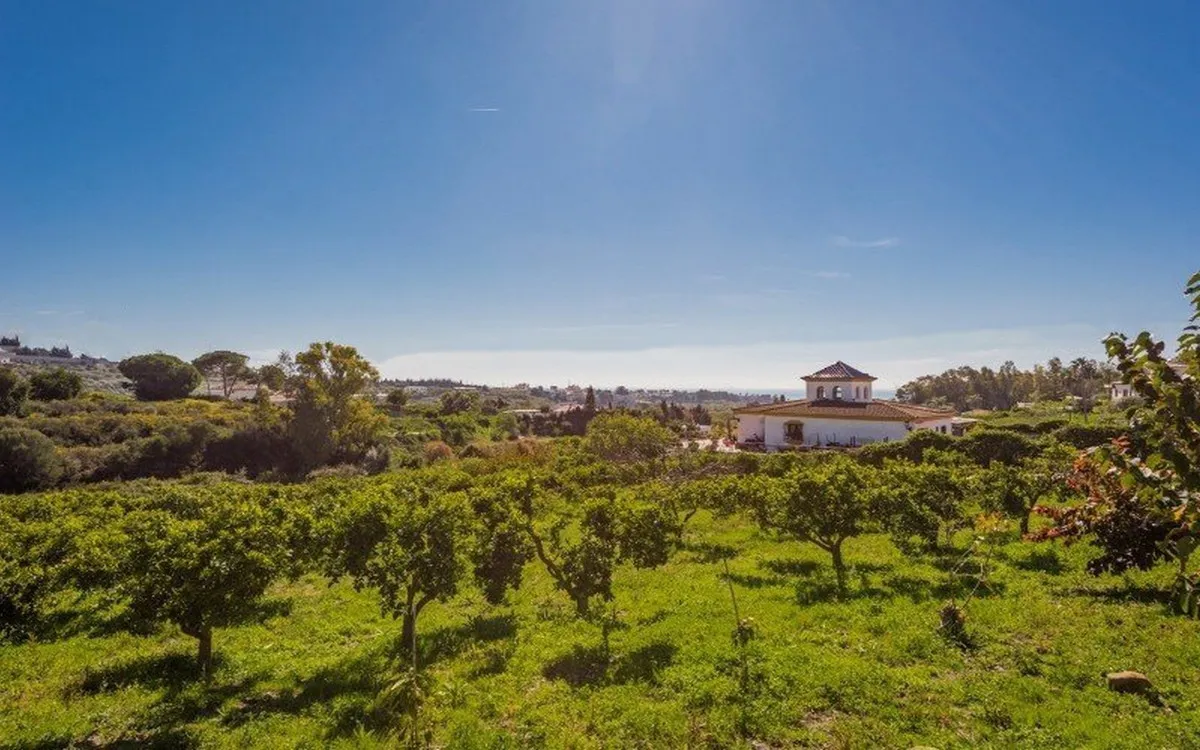 17788120-7c90-4b6a-b99c-d6513acf5bb4