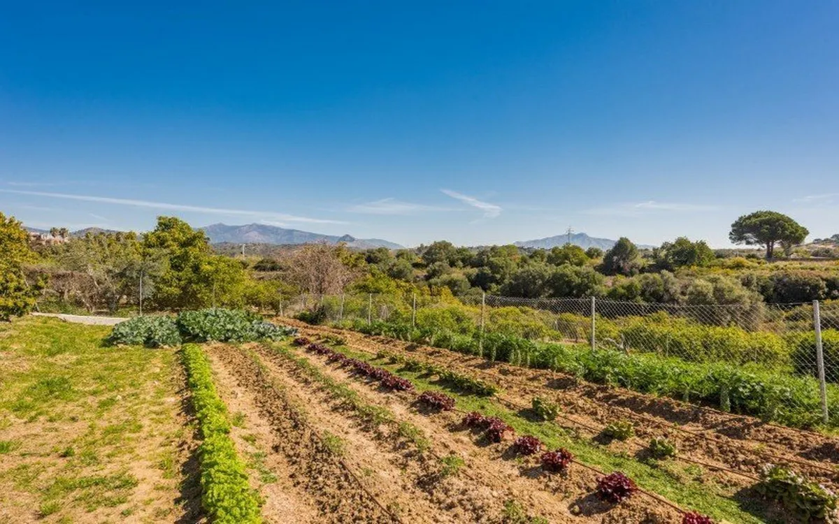 7feb3159-9a21-4390-b7f1-518f5a3cba29