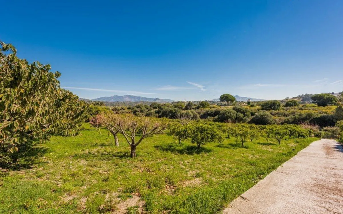 f9078fd3-a039-4ed9-b2a7-a4d3798c51c3