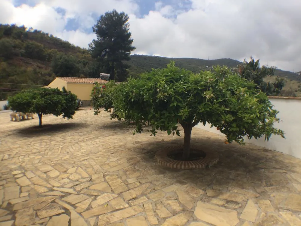 4df8a4dd-131b-4096-aaf3-ab36f723fbe1