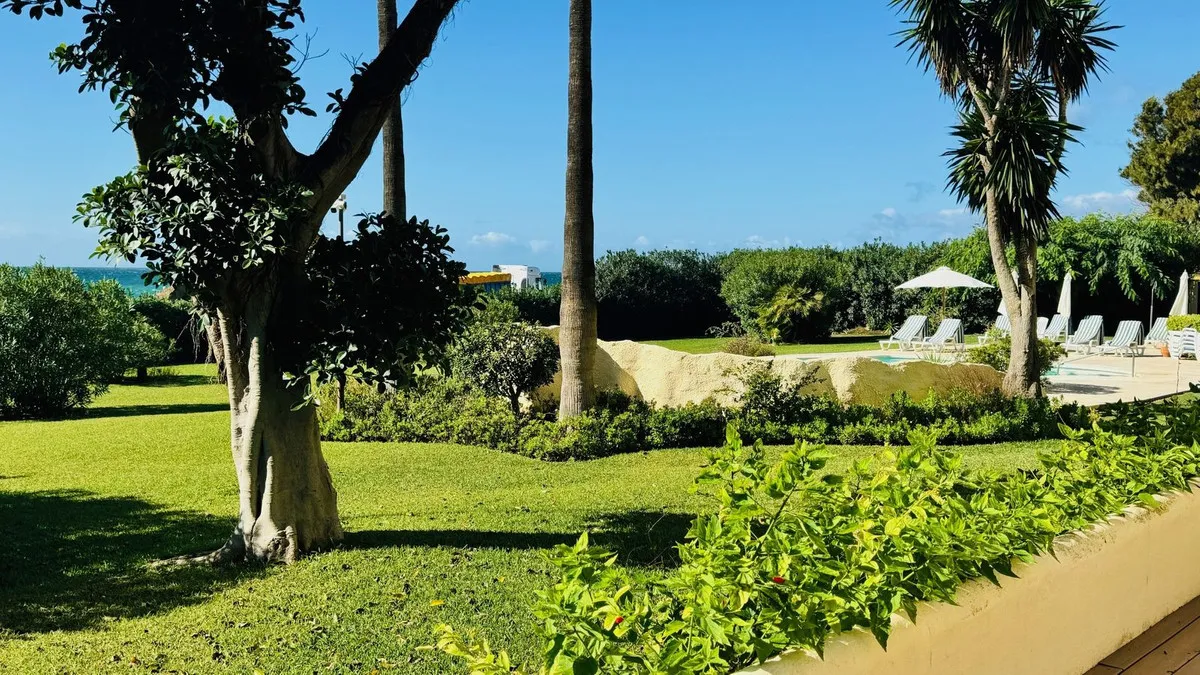 06584436-b1d3-43b5-ba65-afcf9c52d98c