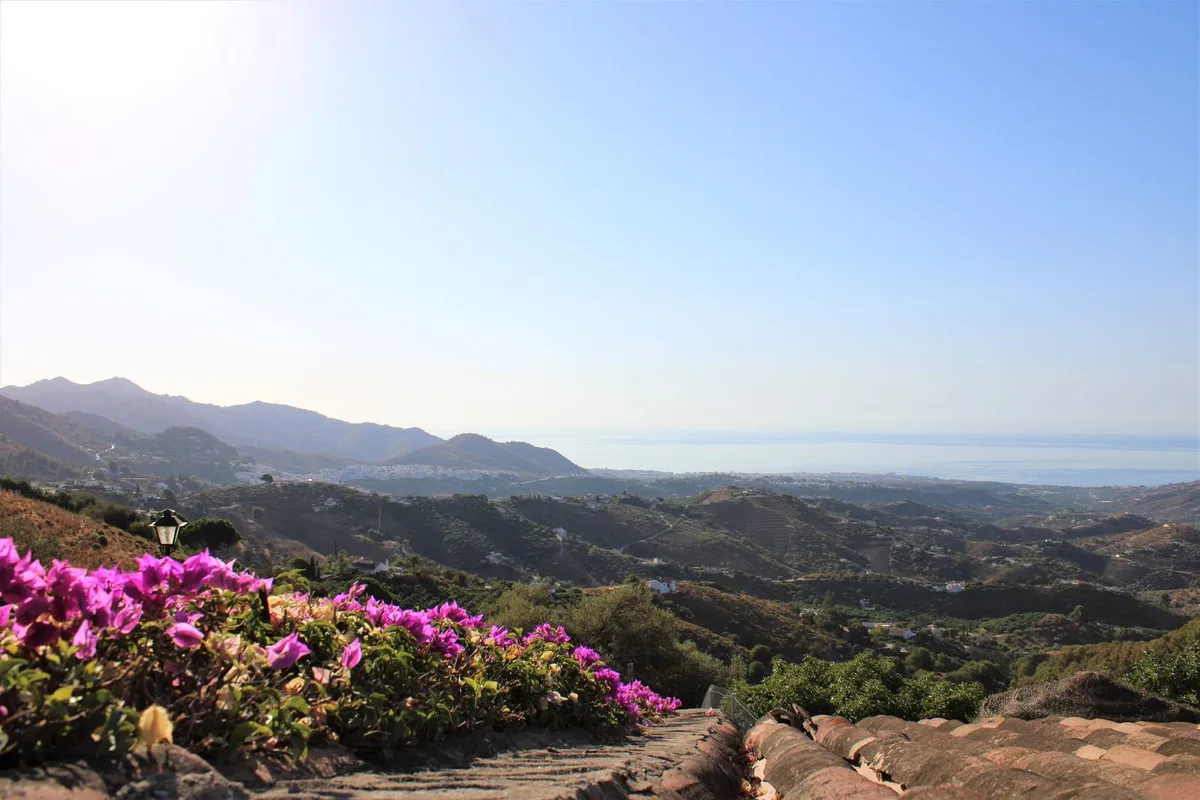 5a1fcced-1652-4532-b7fa-b7c910e5c58e