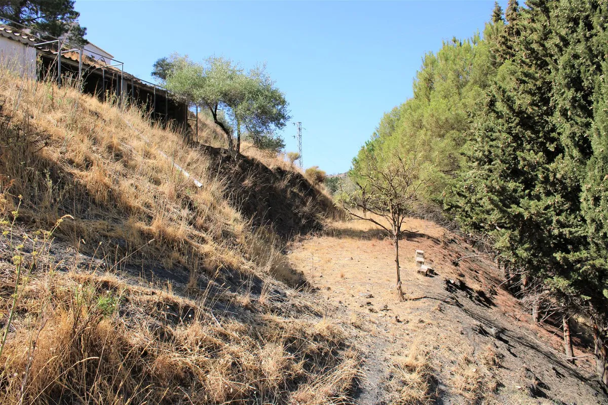 a208d6fd-90ee-486f-91d8-a925c0e6d8ce