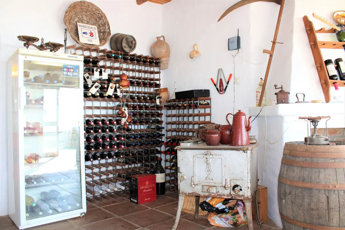 d0210475-b585-43d2-b07d-7657a23bc83e