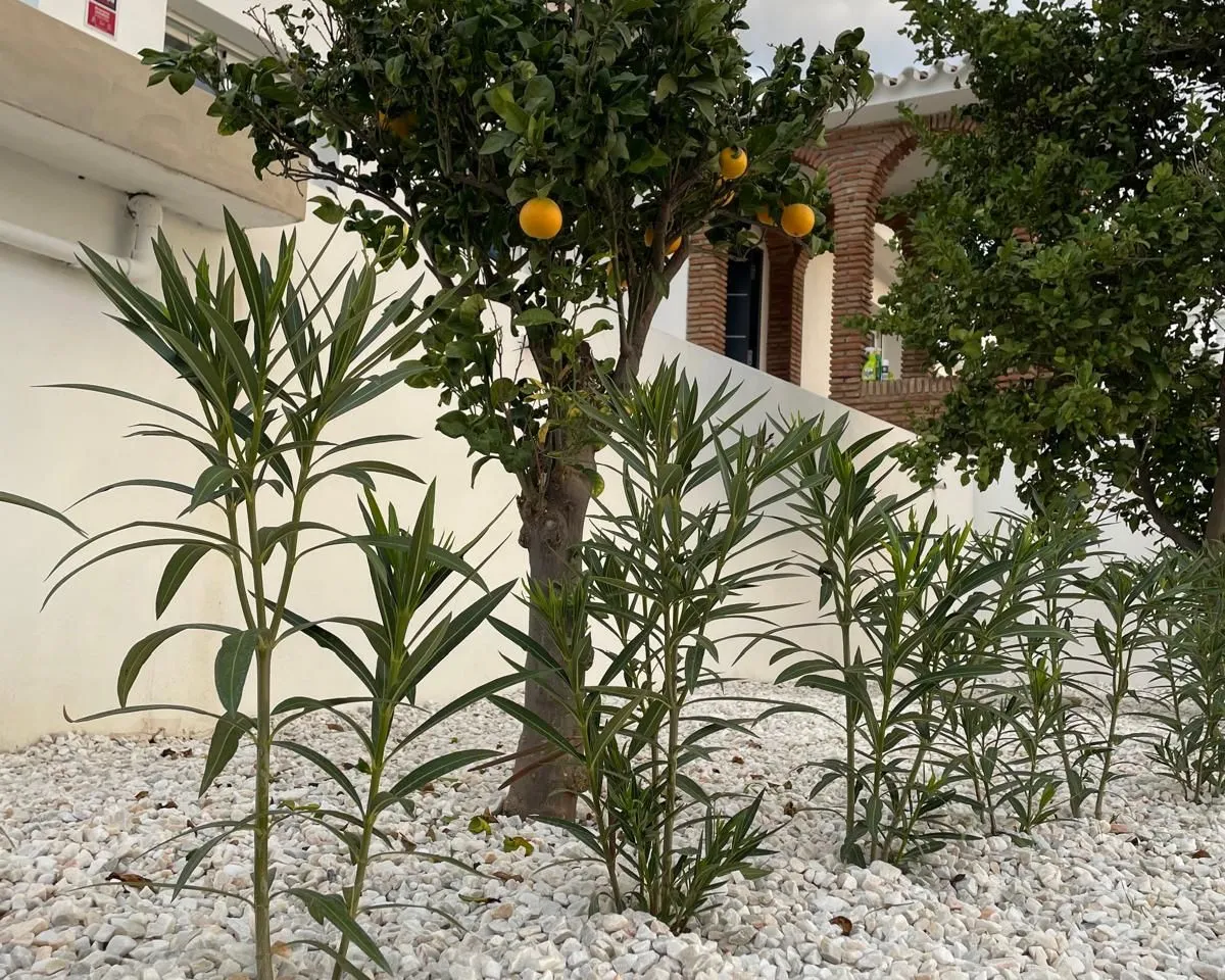 1a441028-7853-439a-b952-2b8c00168248