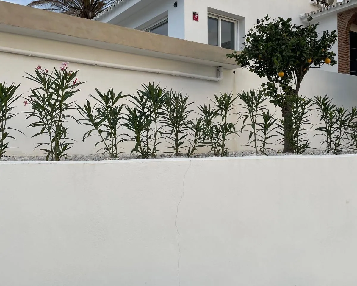 4afff08b-9caa-4ba5-9812-7fcc65c5c937