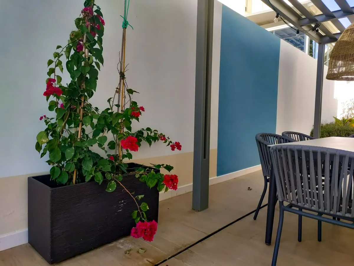 5ba166a8-05c9-4e19-8097-b4231f5cf75d