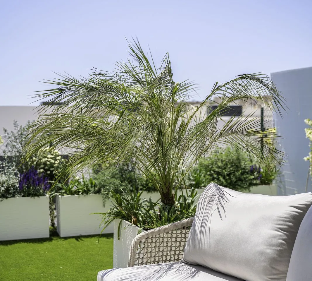 84929b69-5f37-427f-af66-b302d4b491f4