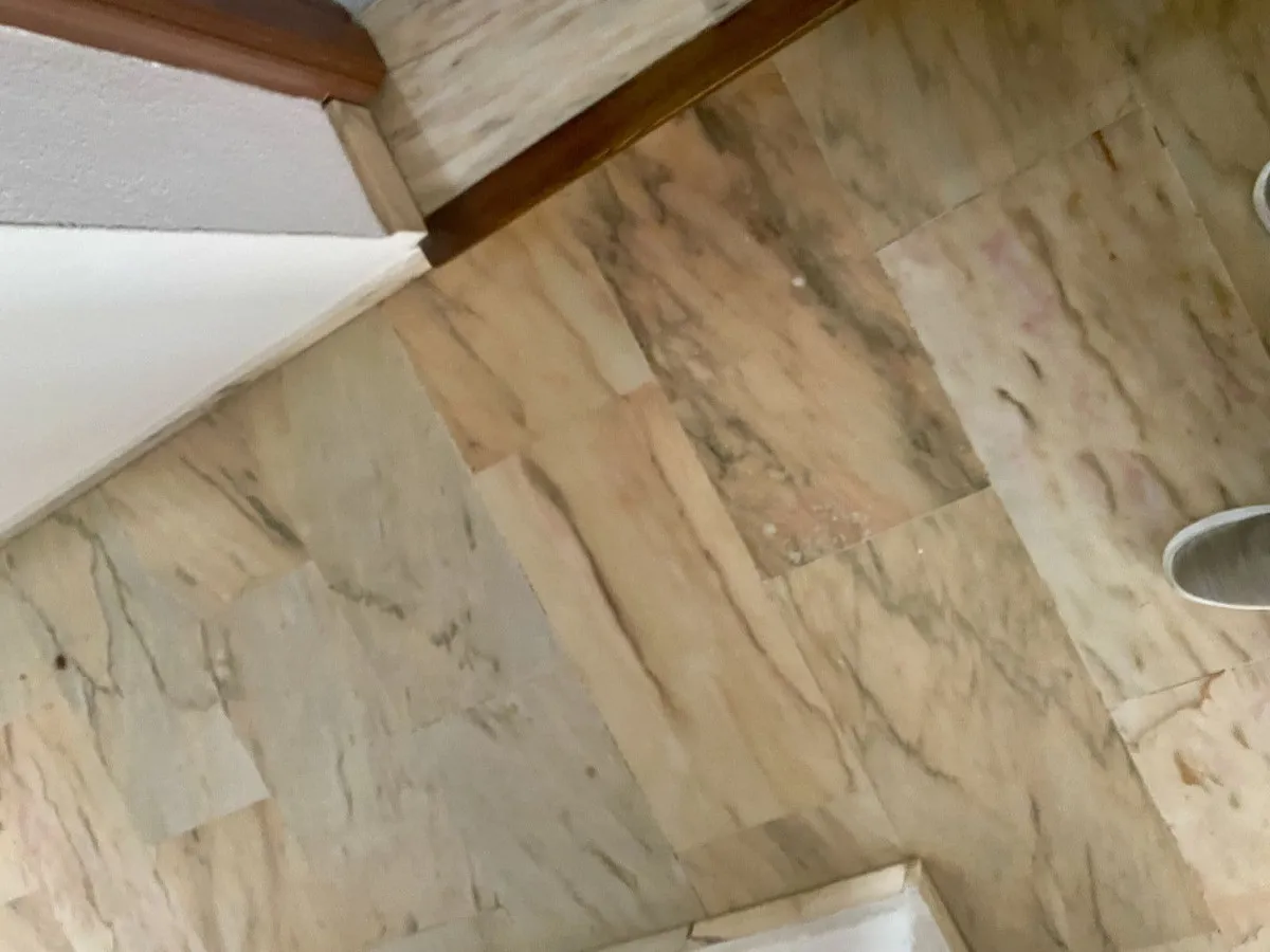 34d234af-eb70-4ec7-bd51-f3e76f6f53ff