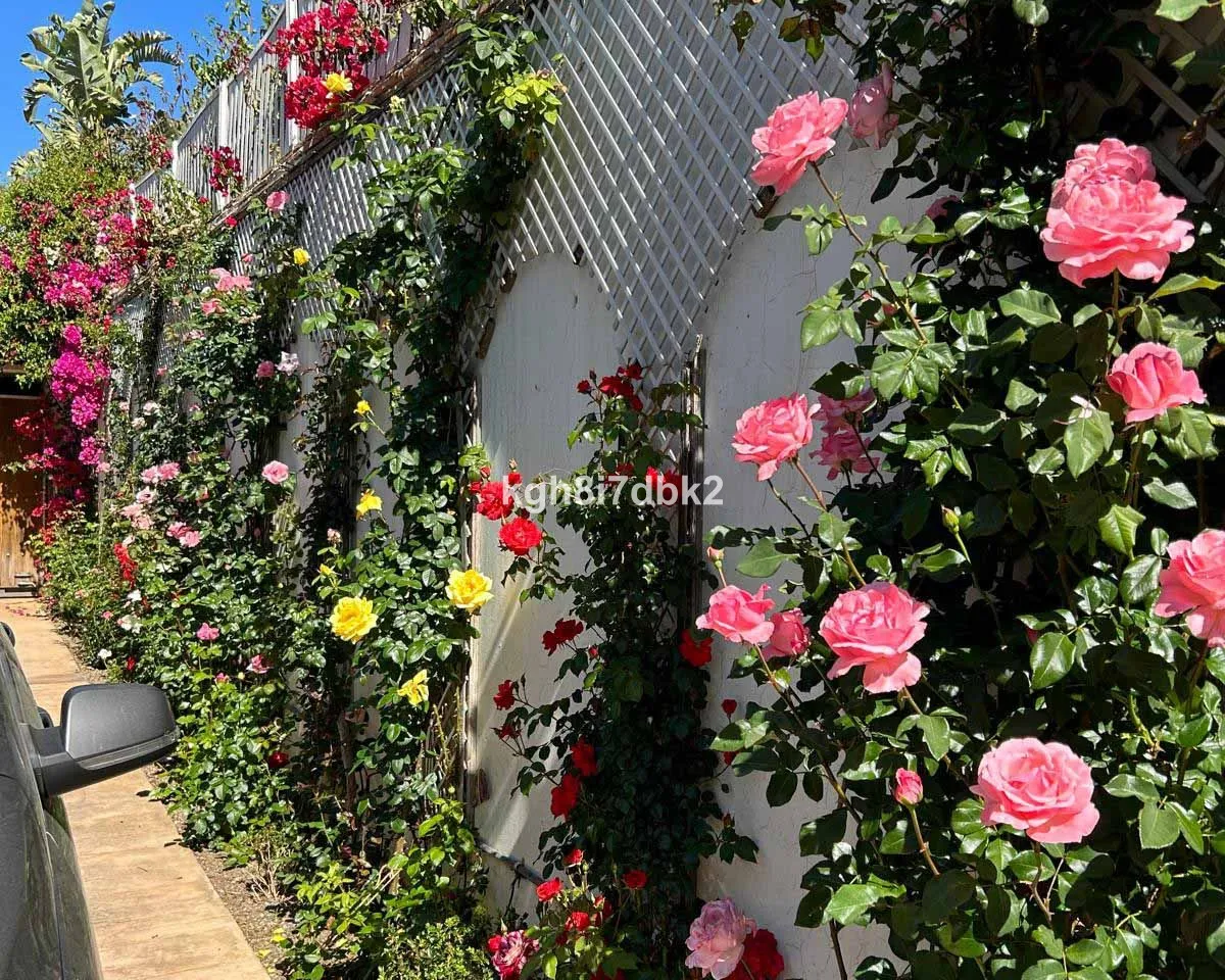 9d5d35eb-5c2b-4d0c-95c4-03a119937258