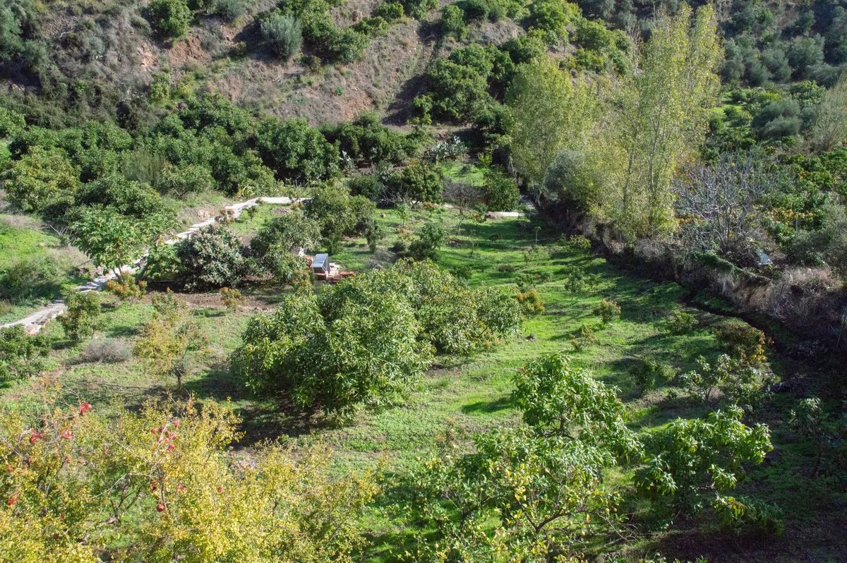 5b58b03e-8134-4915-b45e-45c95ad59e0f