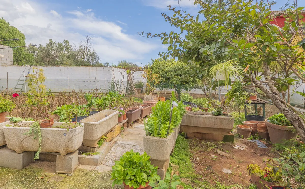 f17af1bb-3828-41ab-9771-30fa81c2816f