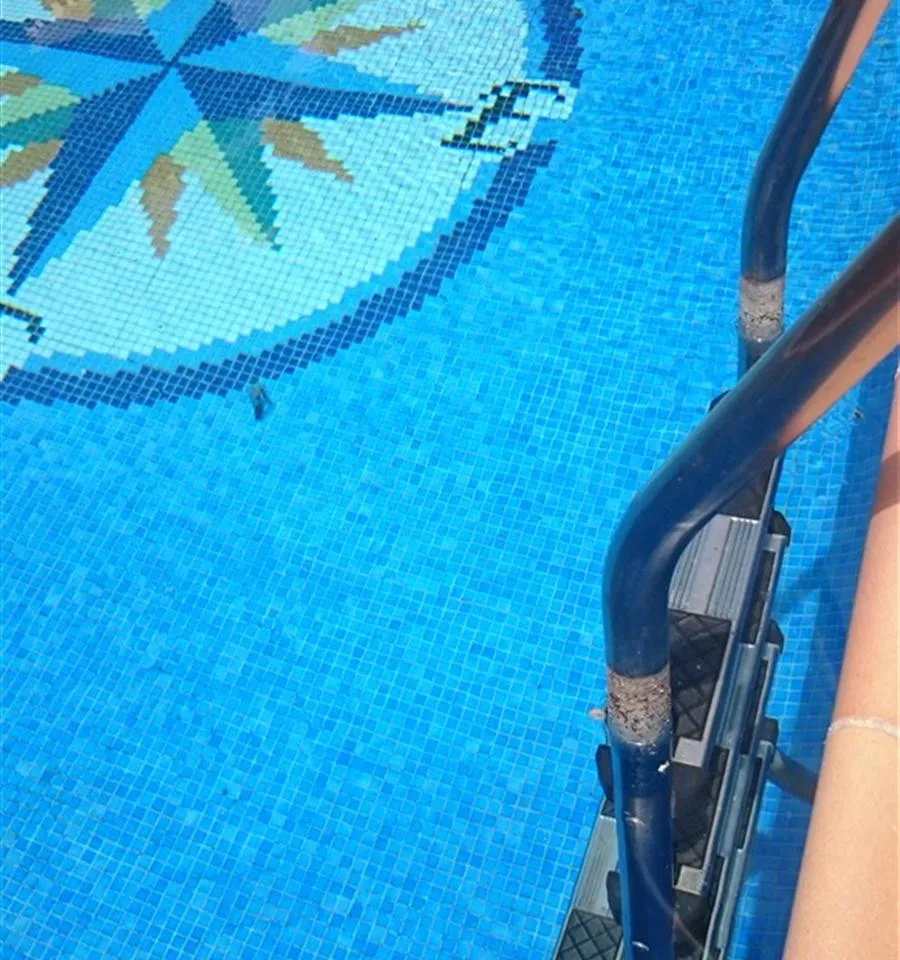 8c46d517-bcbb-4db5-adc6-afe76bc1a0ce