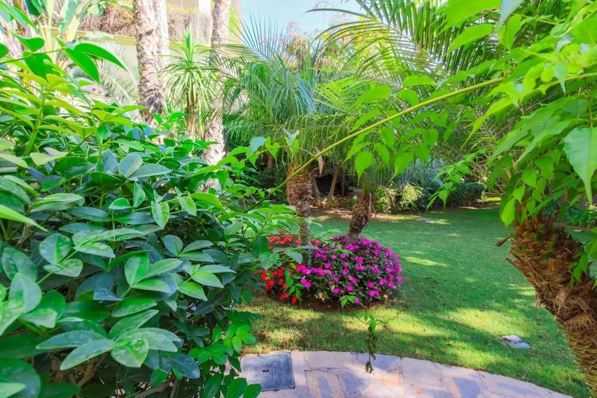 0935f786-bf3f-421d-8f4b-bcb0aa792c3b