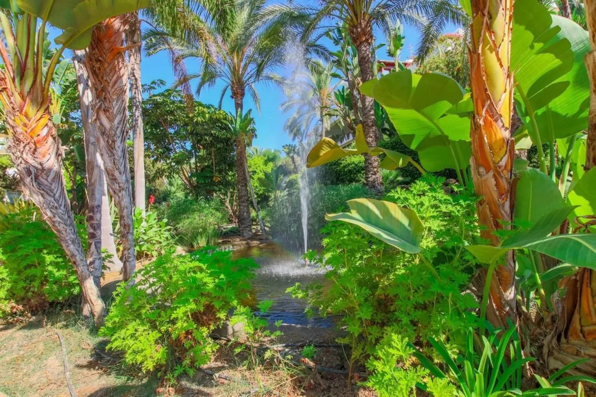 31d06b0e-7e35-47ec-b0b9-eefd88a3442b