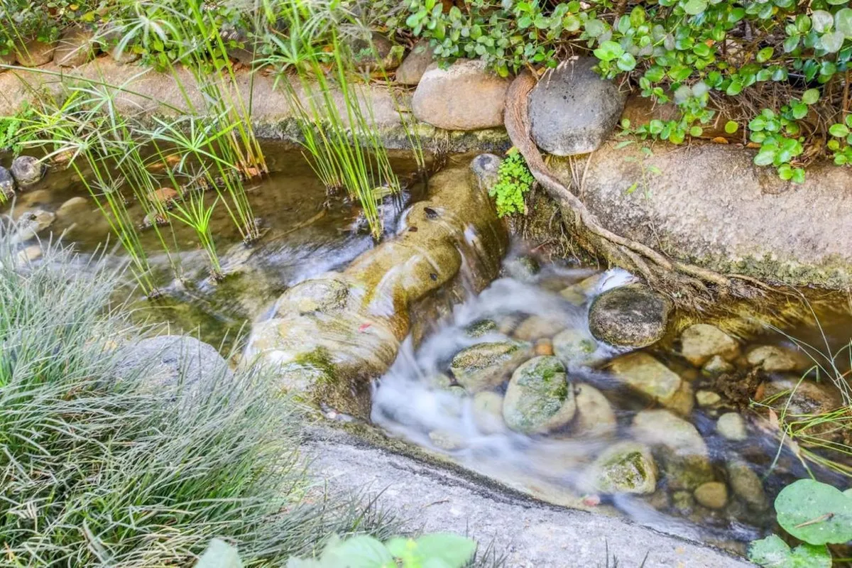 f56539a4-1d60-4307-bdb1-ecfde0155f2e