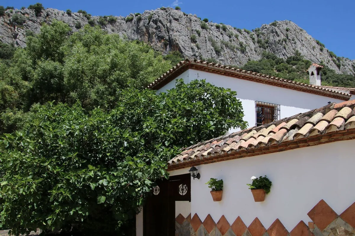 023b981d-06cc-4642-a066-1d5bb06c889a