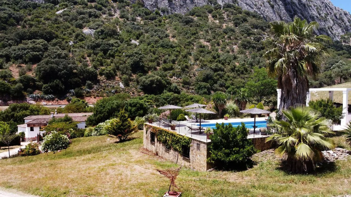 431900ae-2080-4120-923c-512c07e43d05