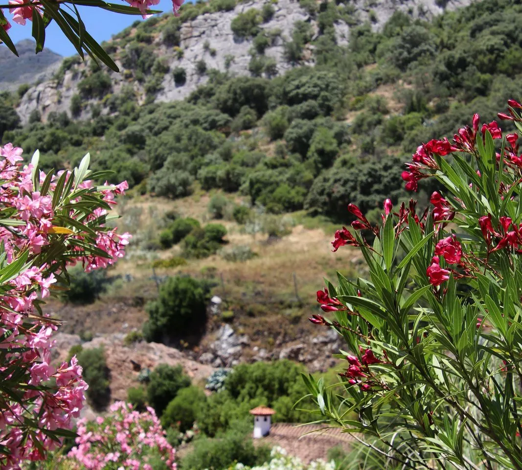 4f2c74b3-29e2-46fc-a352-744df894474f