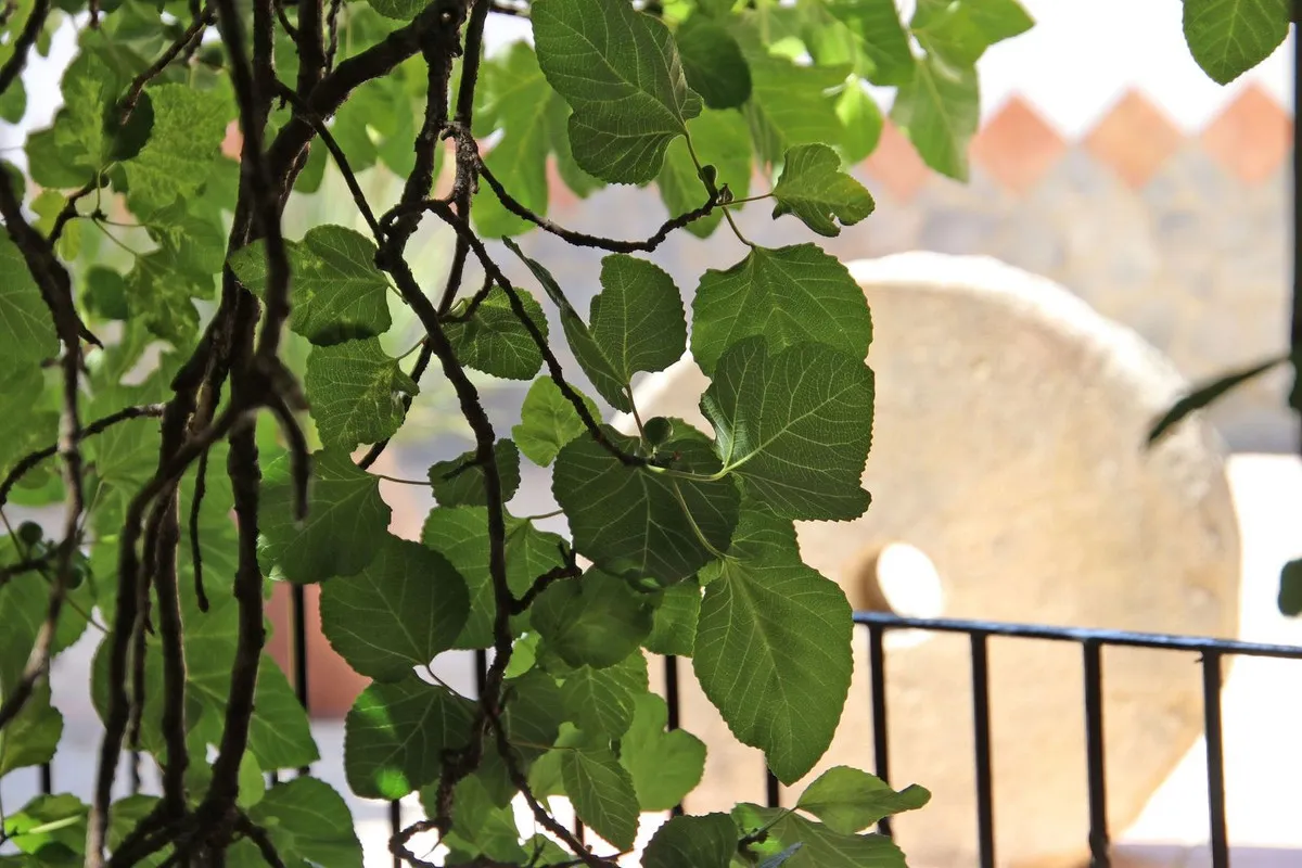 c15bf9ab-87f0-416c-bf13-9242c11eb9bb