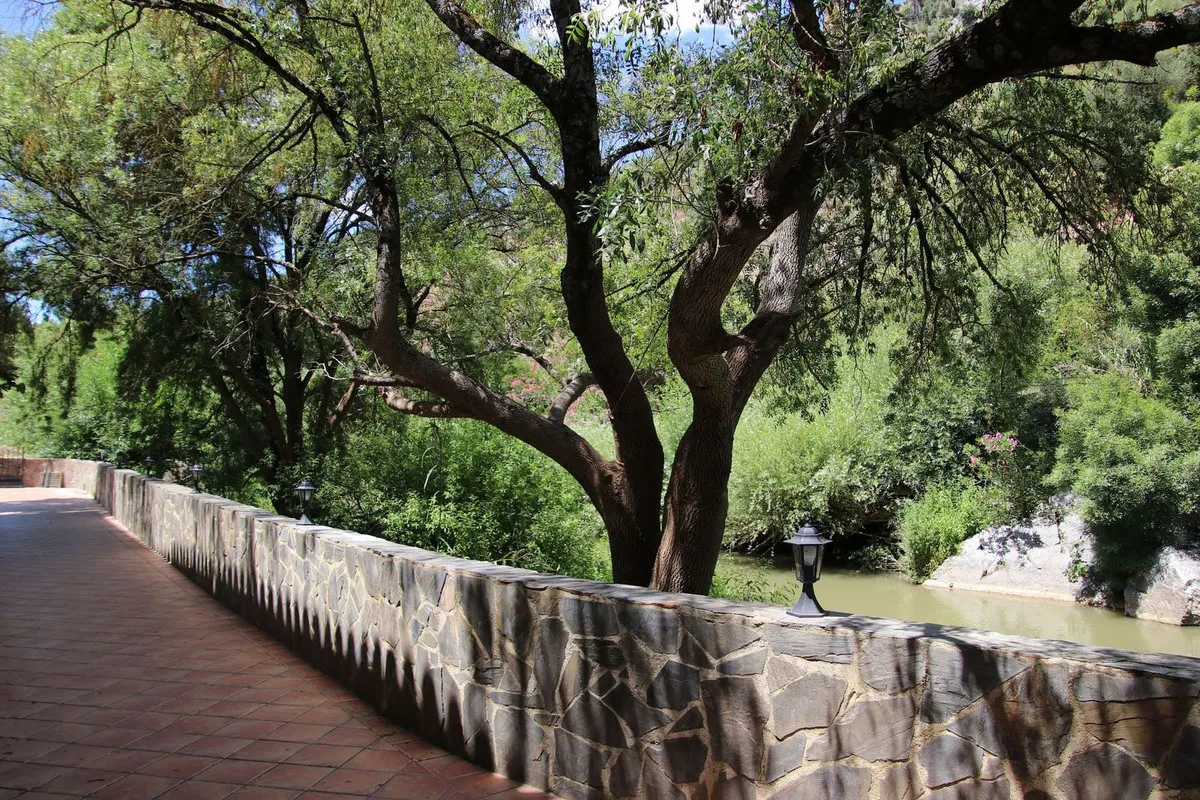 f45f675f-fda9-4fe3-9267-aa06f68d21d9