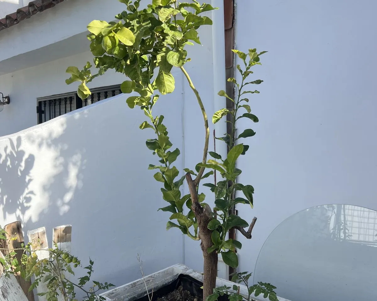 04e3ef0c-4df2-402e-b189-c39ae70e41bd