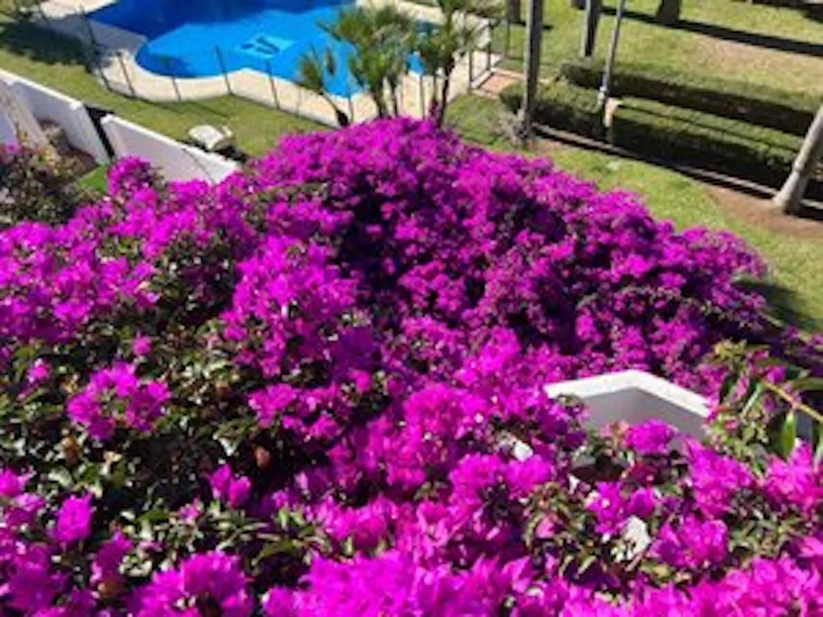 8e7f5365-606c-44e3-bab0-40425816f58f