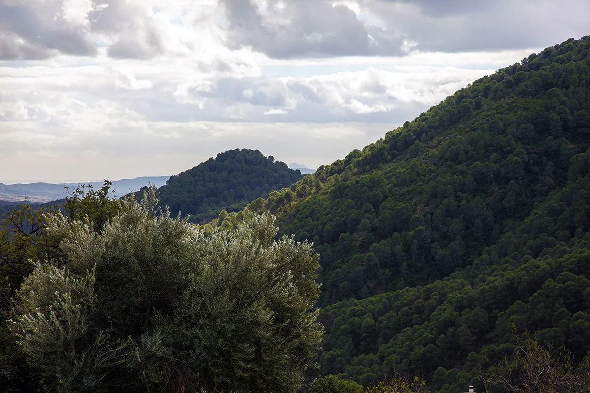 c7c9214b-00e3-45bd-b159-3b9d7049f5e4