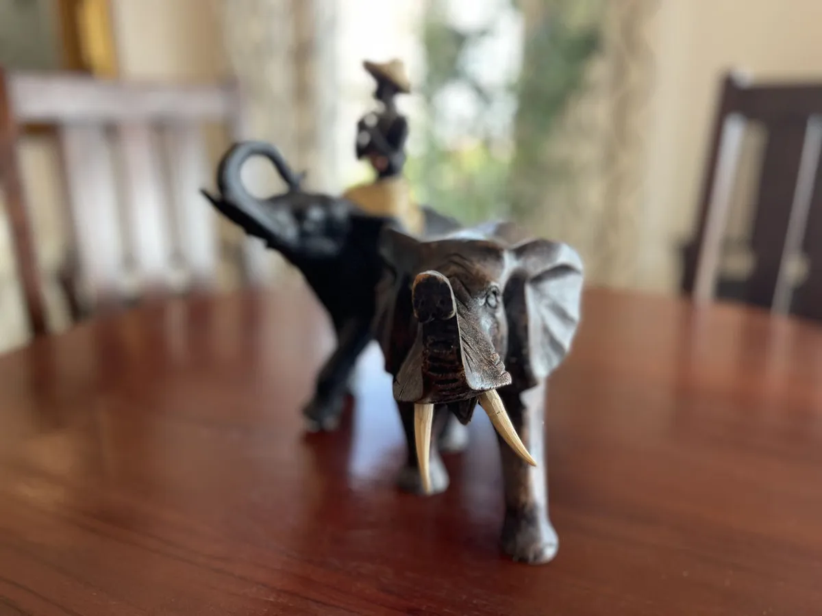 ae51021e-e50a-4961-ac1b-376562297a69