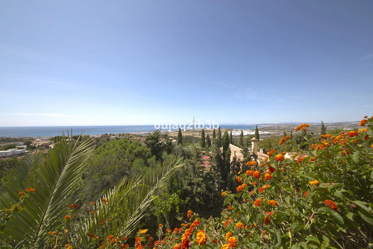 17e78a49-b1c6-4b51-ac36-8d53cf123dad