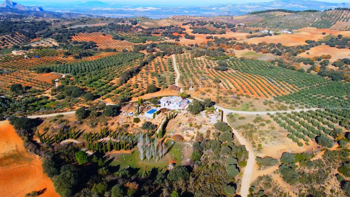 205aca35-5cf3-445f-9003-151935ded8a9