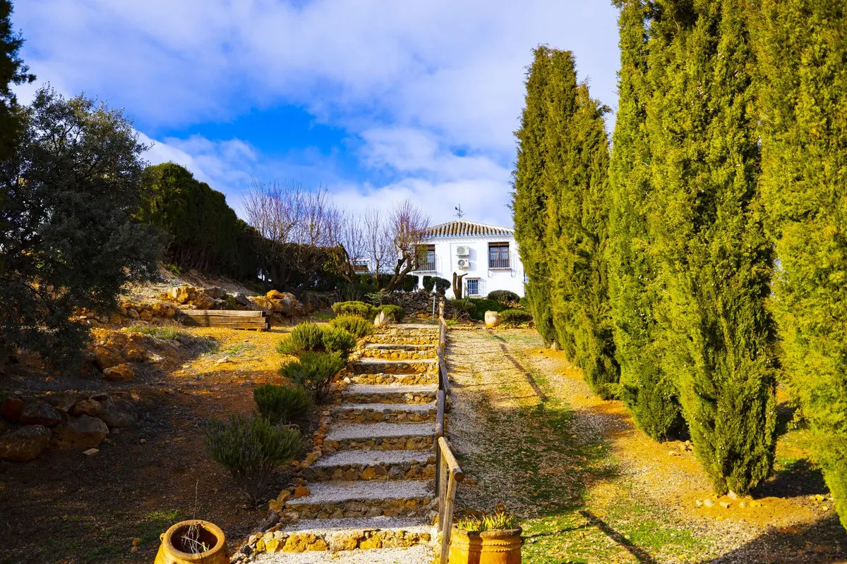 43249b65-96cc-4f63-9ae6-55e5491caedb