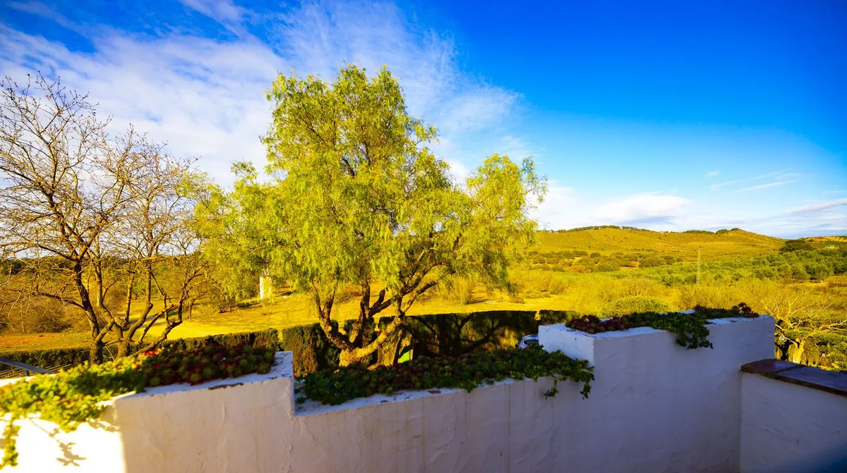 63ed5399-ac35-4e3a-a2ff-96d3c978af44