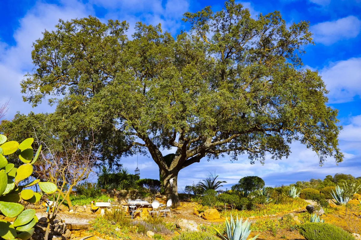 dd919a94-e519-4202-a93e-17405812eb33