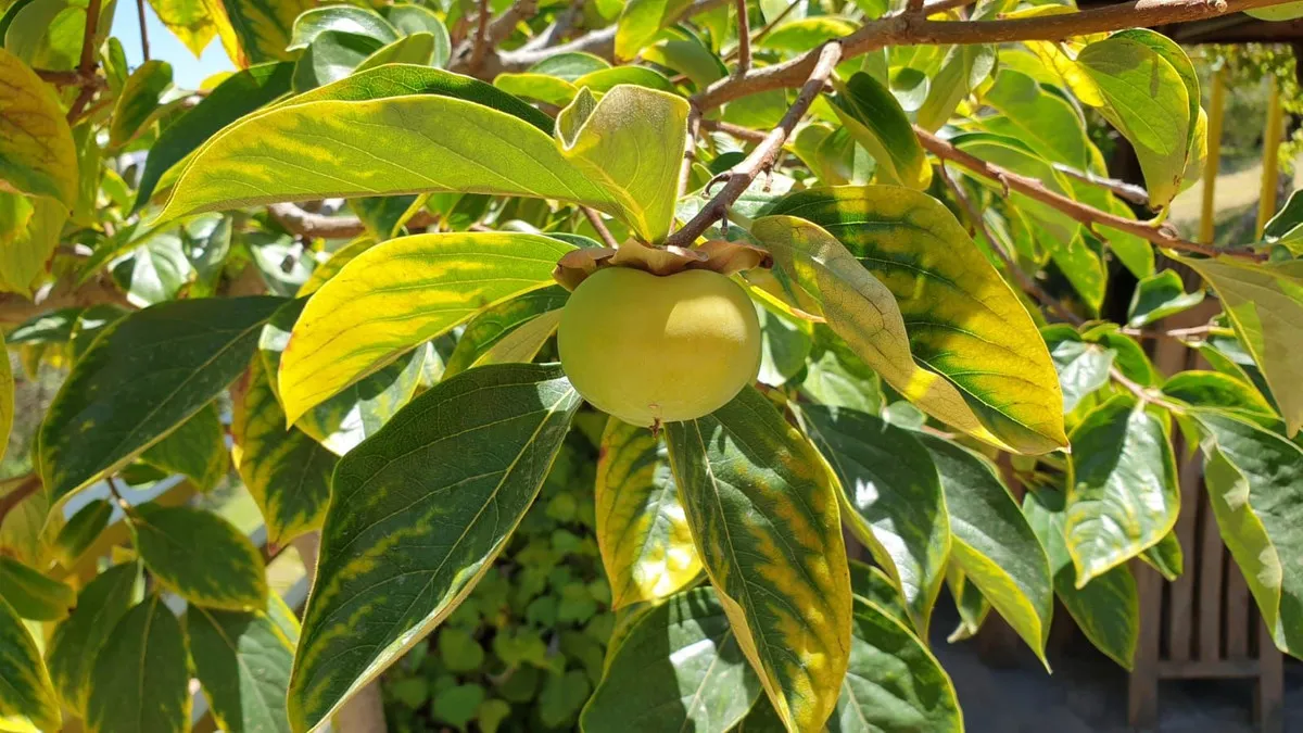 4b2dcee0-a969-42bf-b44f-1974cc5f7256