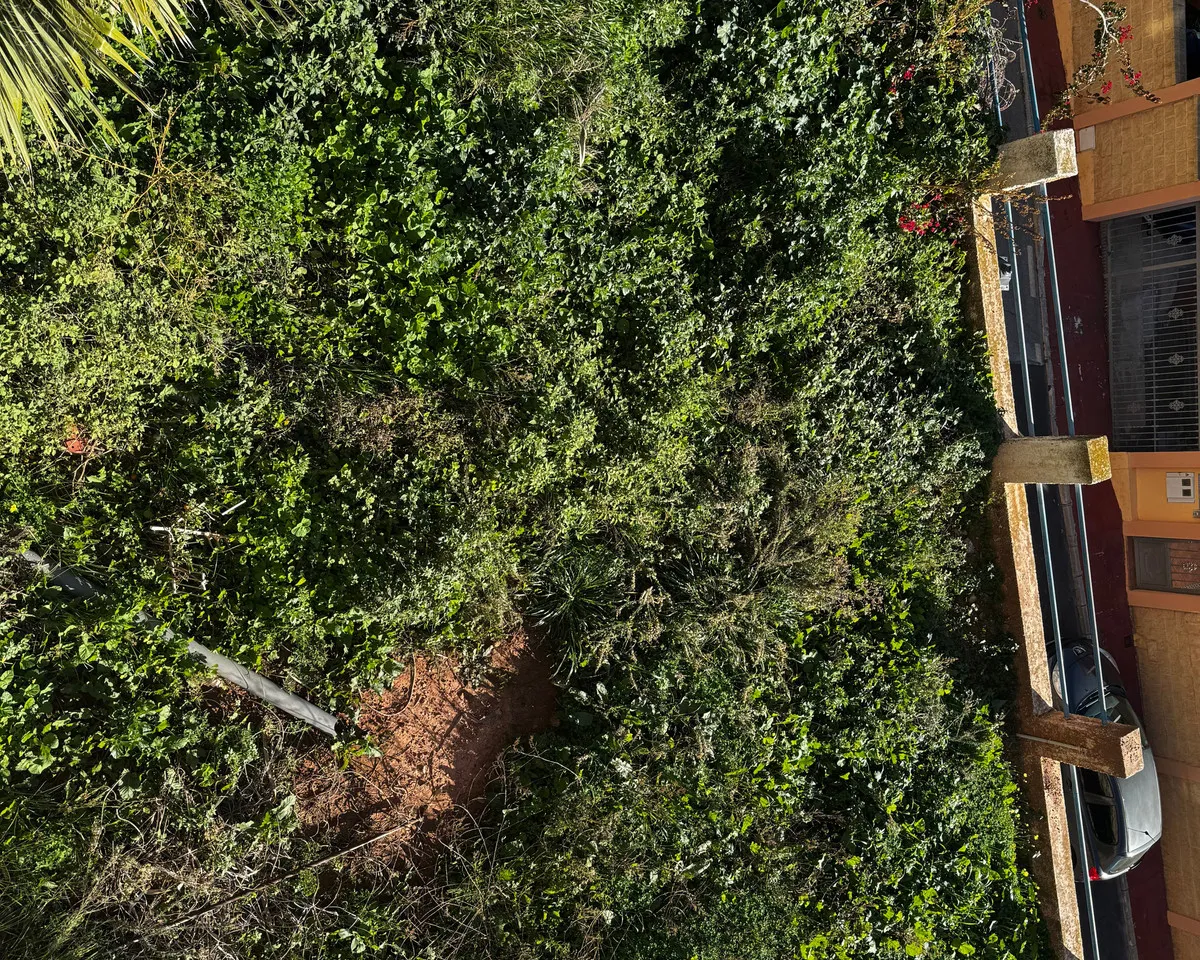 fd3350e8-9e9f-4273-b87e-9cf114b0ec81