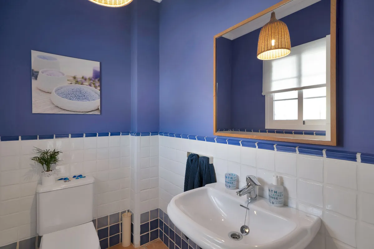 8e591655-b4b6-47f0-8e98-226f96447ebc